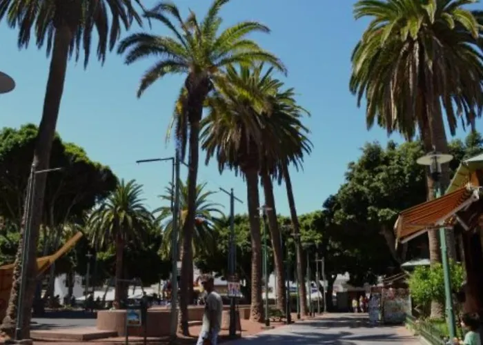 아파트 In The Center Of The Old Town. *