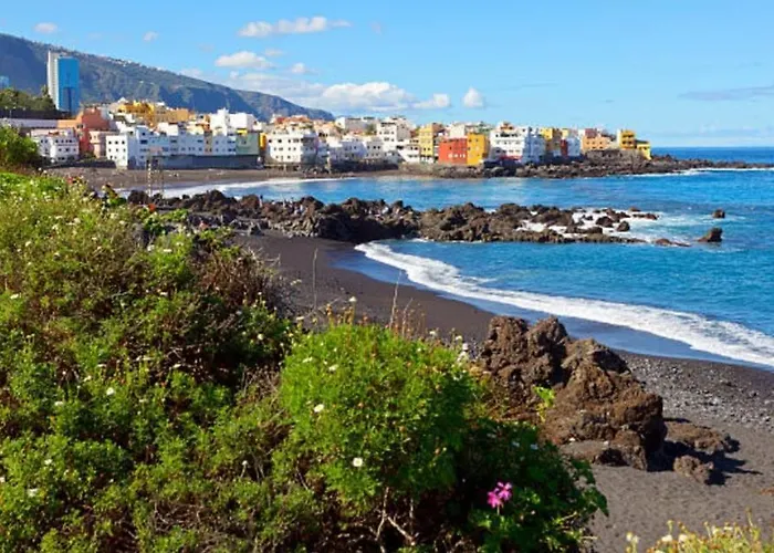 In The Center Of The Old Town. 아파트