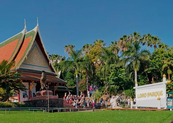 In The Center Of The Old Town. * 푸에르토 드 라 크루즈